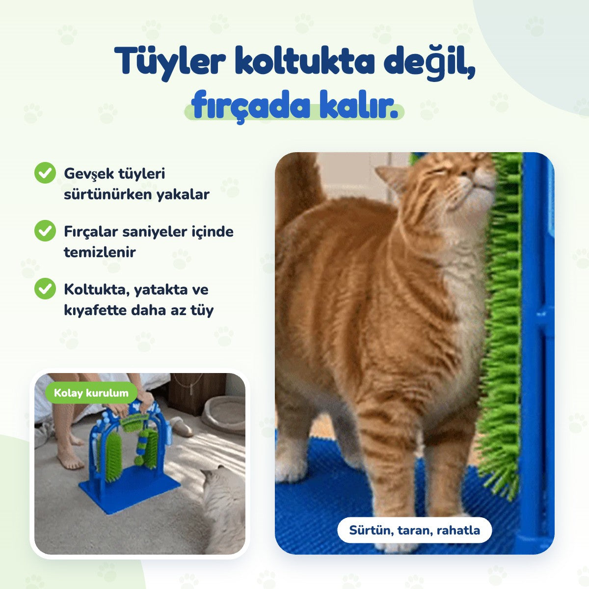meowsh™ Cat Wash – Kedi Kendi Kendine Tımar ve Tüy Toplama İstasyonu