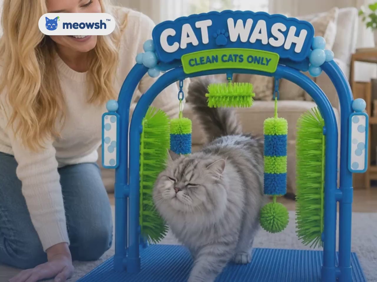 meowsh™ Cat Wash – Kedi Kendi Kendine Tımar ve Tüy Toplama İstasyonu